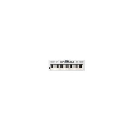 Teclado personal Roland GO KEYS 5 - 61 teclas WH
