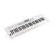 Teclado personal Roland GO KEYS 5 - 61 teclas WH