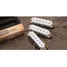 Surfari - Set Para Stratocaster