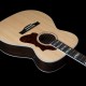 Godin Fairmount CH LTD Rosewood HG EQ
