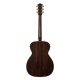 Godin Fairmount CH LTD Rosewood HG EQ
