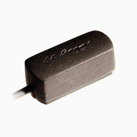 Radius M LR Baggs