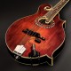 Radius M LR Baggs