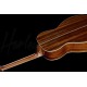 Harley Benton CLP-12SM BRS Solid Top