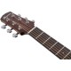 Guitarra Electroacústica Ibanez AAM70CE - TBN
