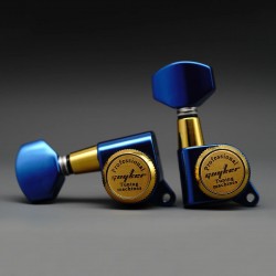 Guyker Set Clavijas GK-D-434SP Botón azul + dorado + azul 6R