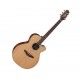 Guitarra electroacústica Takamine FSF40C con case