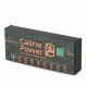 Caline Power Supply CP-205