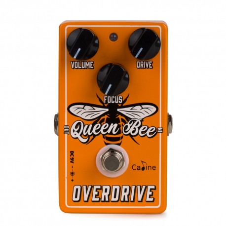 Caline CP-503 Queen Bee Overdrive