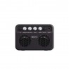 Caline S3 Guitar amps