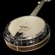 Pastilla de banjo LR Baggs