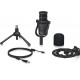 Behringer D2 Podcast Pro
