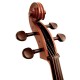 Violoncello 4/4 Baldassare CNF202E ABR
