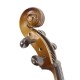 Violoncello 4/4 Baldassare CS301E LAQ