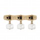 Clavijas Acústica Gotoh 35G1800-1W