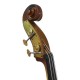 Contrabajo 3/4 Baldassare BP107H Guarnieri Antique Violin