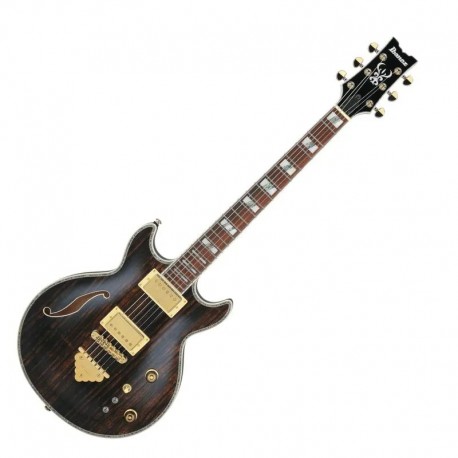 Guitarra eléctrica Ibanez AR520HME NT