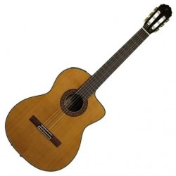 Guitarra electroacústica Takamine EC132SC con case