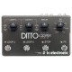 Ditto X4 Looper TC Electronic
