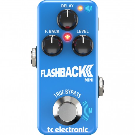 Flashback 2 Mini Delay