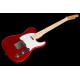 Harley Benton TE-20MN CA Standard Series