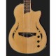 Harley Benton Custom Line Nashville Nylon NT