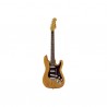 Harley Benton ST-90SA Swamp Ash DLX Series