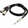 Cable de audio pro snake TPY 2015 JMM
