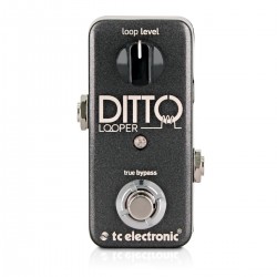 Ditto Looper TC Electronics