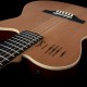 Godin A12 Natural con Soft Case