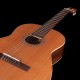 Godin Concert Clasica II