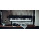 Casio CT-S300