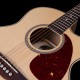 SEAGULL Performer CW Mini Jumbo HG Presys II con Soft Case