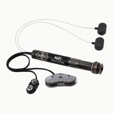 HiFi LR Baggs