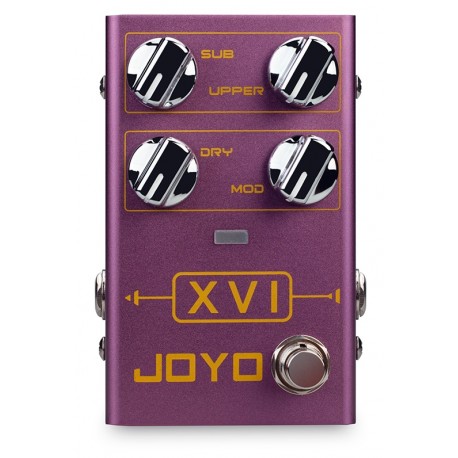 XVI Octavador Polifónico Joyo