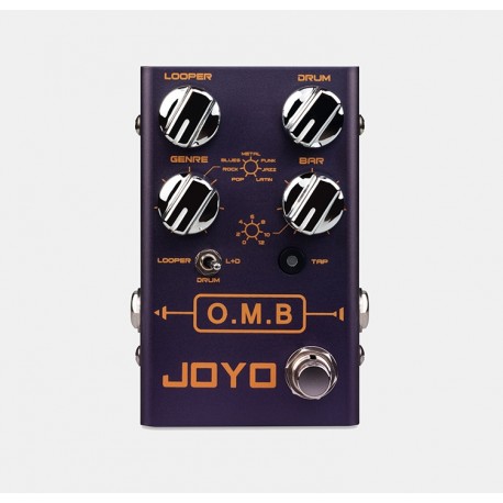 OMB Looper