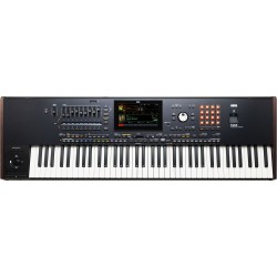 Arreglador Profesional Korg Pa5X 76