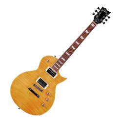Guitarra eléctrica LTD EC256 VN