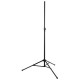 Millenium BS-2010 Pie de Altavoz